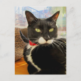 Söt Girl Girl Lucy Vykort