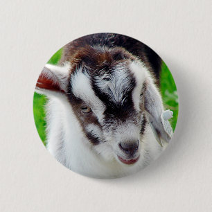 Söt Goat Kid Knapp