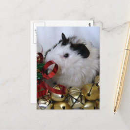 Söt God Jul Baby Marsvin Vykort