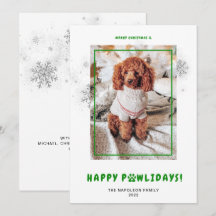 Söt God Jul Glad PAWjul Pet Foto Hol