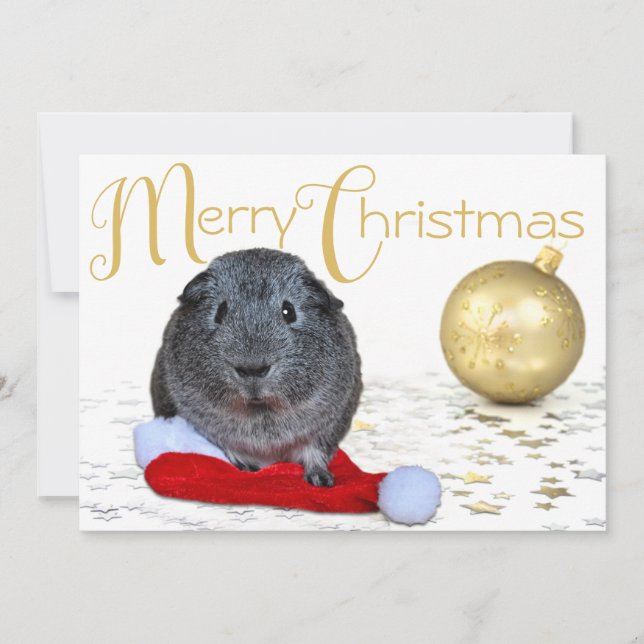 Söt God Jul Marsvin Guld Ornament Julkort (Framsida)