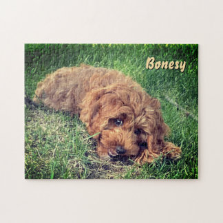 Söt Golden Doodle 11x14 Pussel