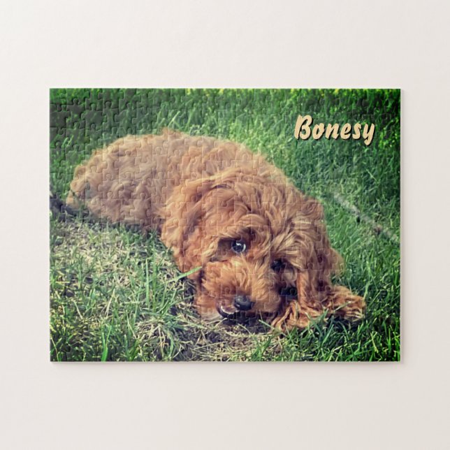 Söt Golden Doodle 11x14 Pussel (Horisontell)