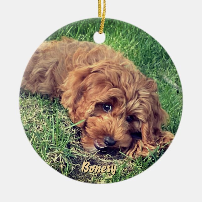 Söt Golden Doodle-keramisk prydnad Julgransprydnad Keramik (Framsidan)