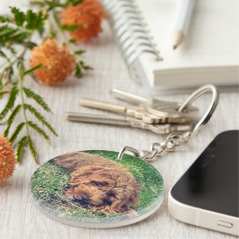 Söt Golden Doodle med text