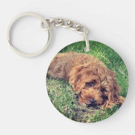 Söt Golden Doodle med text