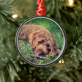 Söt Golden Doodle Premium Julgransprydnad Metall