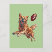 Söt Golden Retriever Hund Spelar Amerikansk Fotbol