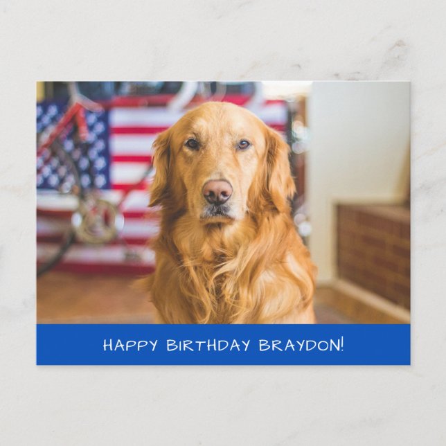 Söt Golden Retriever Hund Vykort (Framsida)