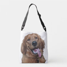 Söt Golden Retriever | Original Hundfotografering