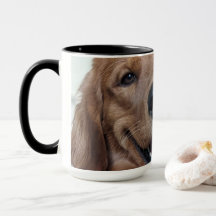 Söt Golden Retriever | Original Hundfotografering