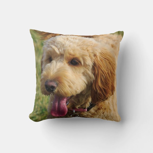 Söt Goldendoodle Hund Kudde (Framsida)