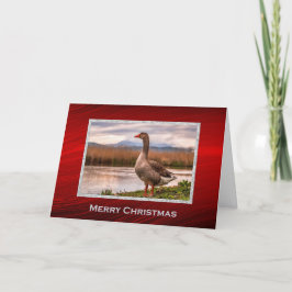 Söt Goose Landcape Foto jul Helgkort