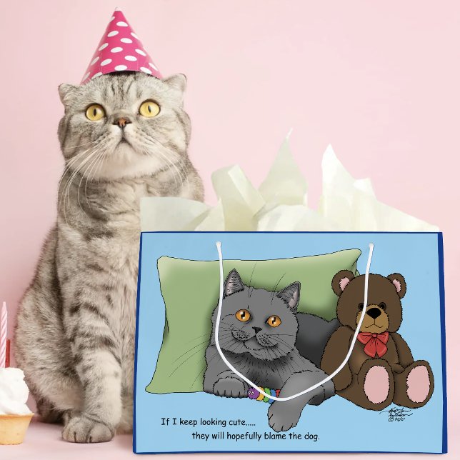 Söt Grå Katt Teddybjörn Rolig Blå (Skapare uppladdad)
