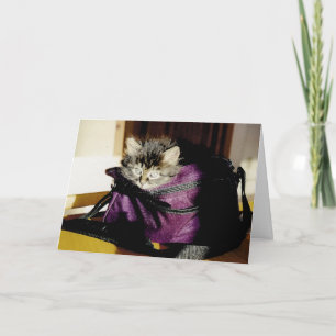 Söt Grå Kattunge I Handväska Tänker På Dig Anpassa Kort