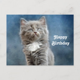 Söt grå och vit kattunge fotobirthday vykort