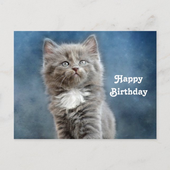 Söt grå och vit kattunge fotobirthday vykort (Framsida)