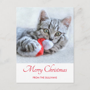 Söt grå tabby katt julhatt Xmas Vykort