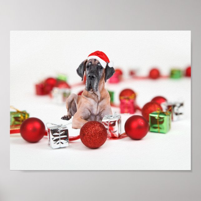 Söt Grand Danois Hund Jul Santa Hatt Poster (Framsidan)