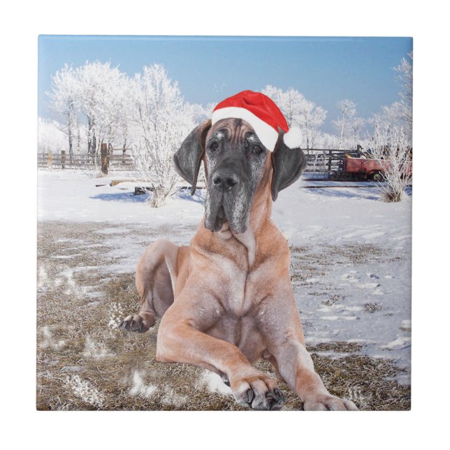 Söt Grand Danois hund sittande i snö julhatt Kakelplatta (Framsidan)