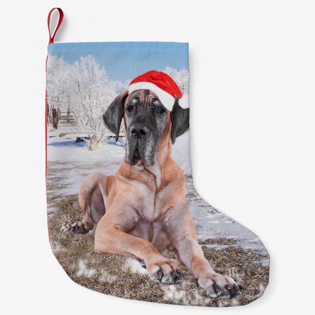 Söt Grand Danois hund sittande i snö julhatt Liten Julstrumpa (Framsidan)