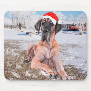 Söt Grand Danois Hund Sitter I Snö Julhatt Musmatta