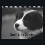 Söt Gräns Collie Hund Calendar Kalender<br><div class="desc">Perfekten i julklapp till gräns kollie hund älskare. Med vackra foton av en kollie i gräns under hela året för att ge nålskjuts till någons ansikte månad i månaden. All bilder-exklusiv till Zazzle ©</div>