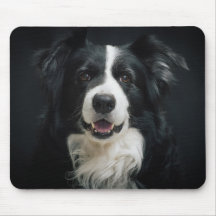 Söt Gräns Collie
