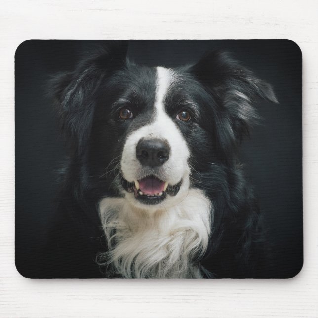 Söt Gräns Collie Musmatta (Framsidan)