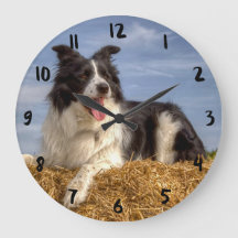 Söt Gräns Collie on Straw Bale Clock