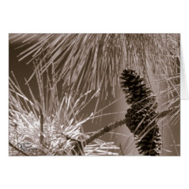 Söt Gräs-con (5.0) Hälsningskort