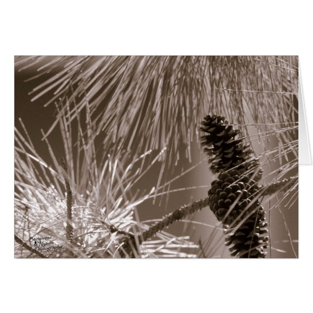 Söt Gräs-con (5.0) Hälsningskort (Framsidan Horizontal)