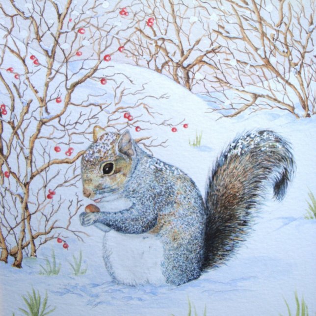 Söt grått-ekorre snö-scen, ursprungligt djurliv presentpapper (Skapare uppladdad)