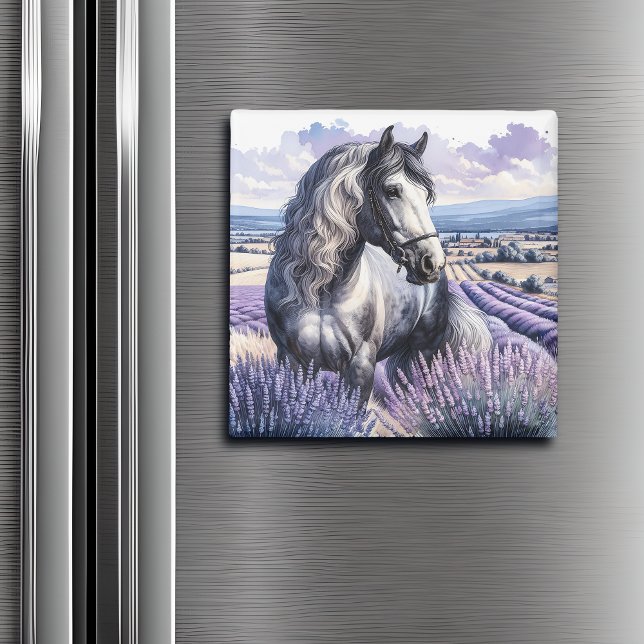 Söt Grått Horse ständiga i Lavender Magnet (Skapare uppladdad)