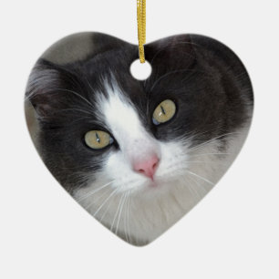 Söt grått och vit katt julgransprydnad keramik