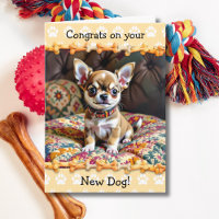 Söt Grattis på din nya chihuahua-valp  Hund 