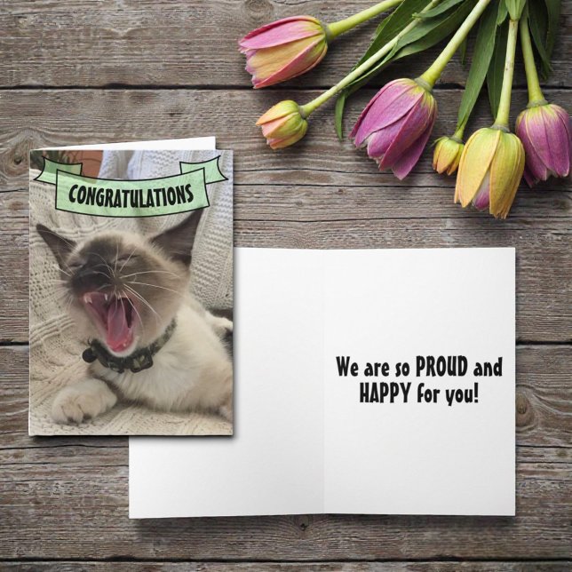Söt Grattis Skrikande Siamese Kattunge Foto Kort (Funny cat cover template greeting card. )