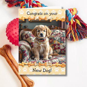 Söt Grattis till din nya Golden Retriever hund Kort