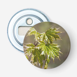 Söt grön lönnkvist med små blad flasköppnare