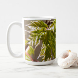 Söt grön lönnkvist med små blad kaffemugg