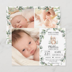 Söt Grönska Ugglor Ny Baby Pojke Foto Collage Föde Meddelande