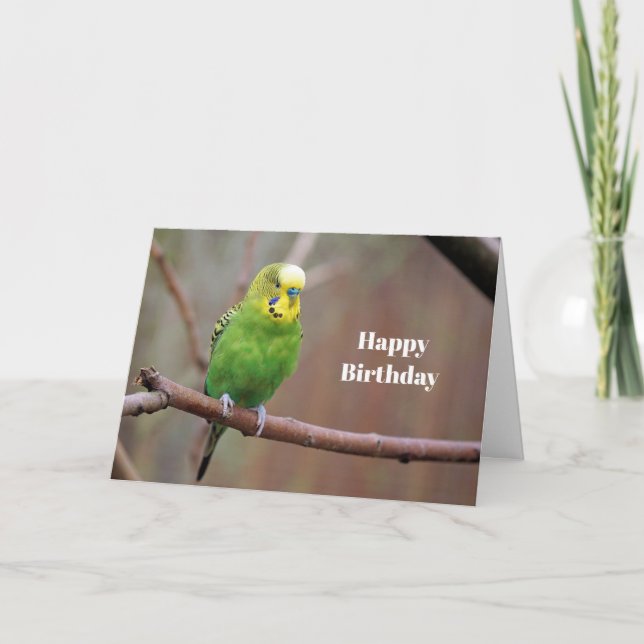 Söt Grönt Budgie Photo Birthday Card Kort (Framsida)