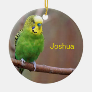 Söt Grönt Budgie Photo Julgransprydnad Keramik