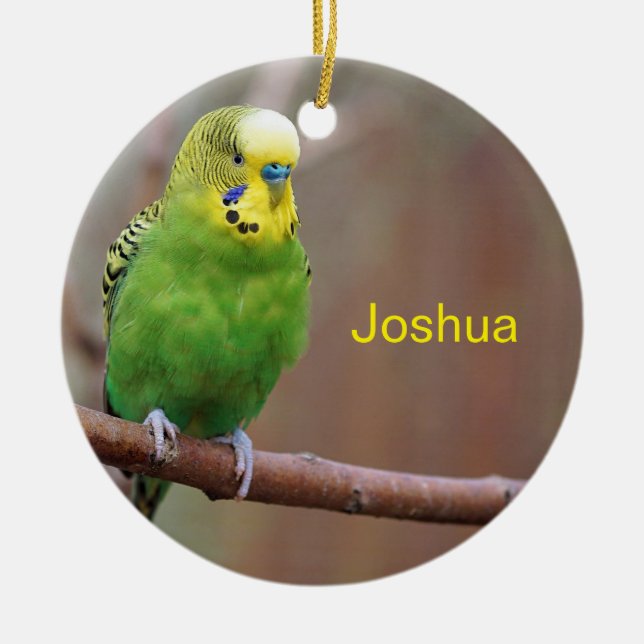 Söt Grönt Budgie Photo Julgransprydnad Keramik (Framsidan)