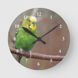 Söt Grönt Budgie Photo Rund Klocka