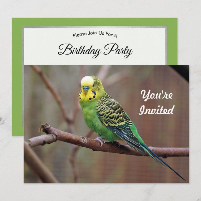 Söt Grönt Parakeet Photo Birthday Inbjudningar (Fram/baksida)
