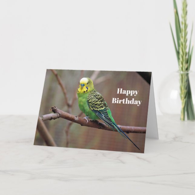 Söt Grönt Parakeet Photo Birthday Kort (Framsida)