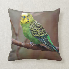 Söt Grönt Parakeet Photo Kudde