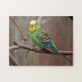 Söt Grönt Parakeet Photo Pussel