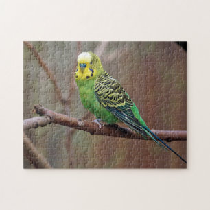 Söt Grönt Parakeet Photo Pussel